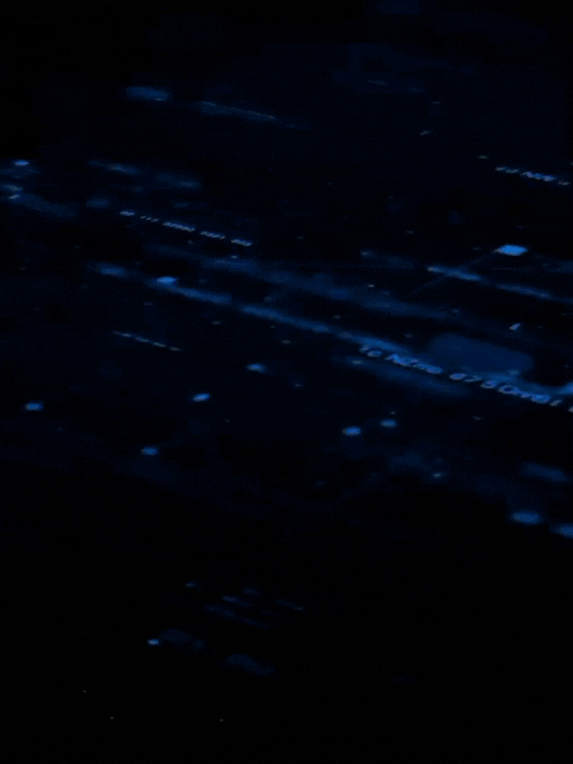 Full Stack Web Development